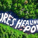 Nature Healing Power