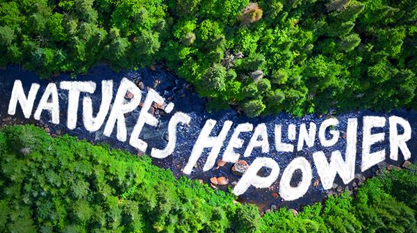 Nature Healing Power